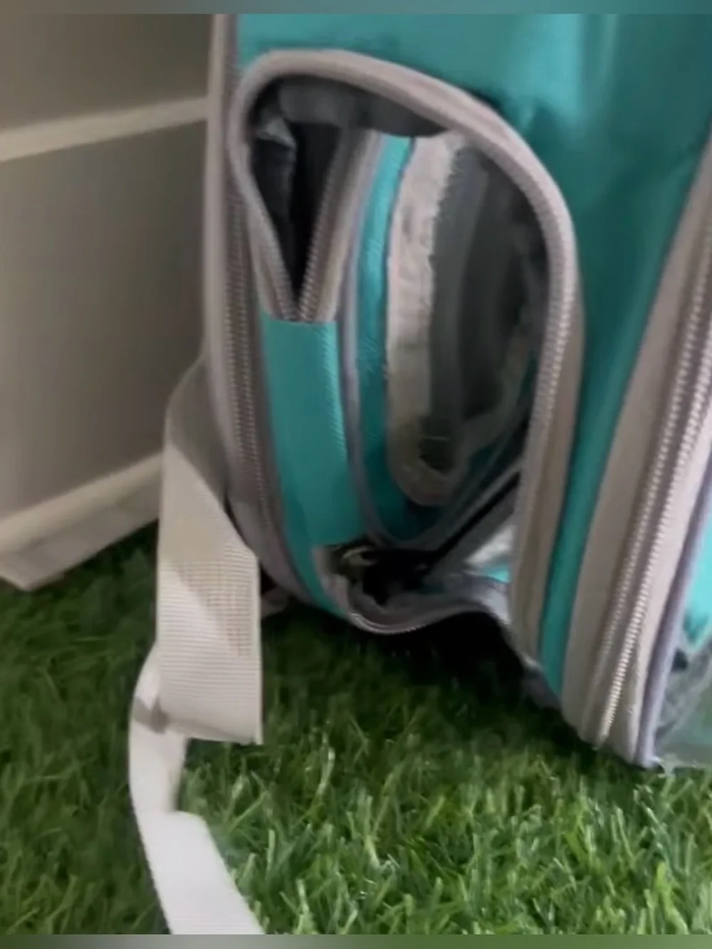 Lollimeow Expandable Cat Bubble Backpack Carrier